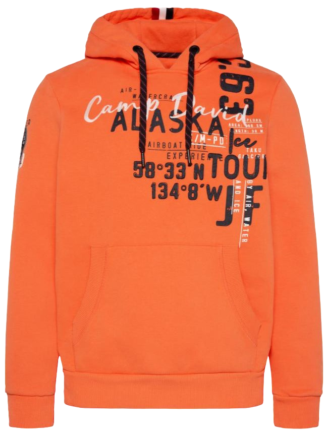 Hooded Sweatshirt with Logo Artworks in Orange