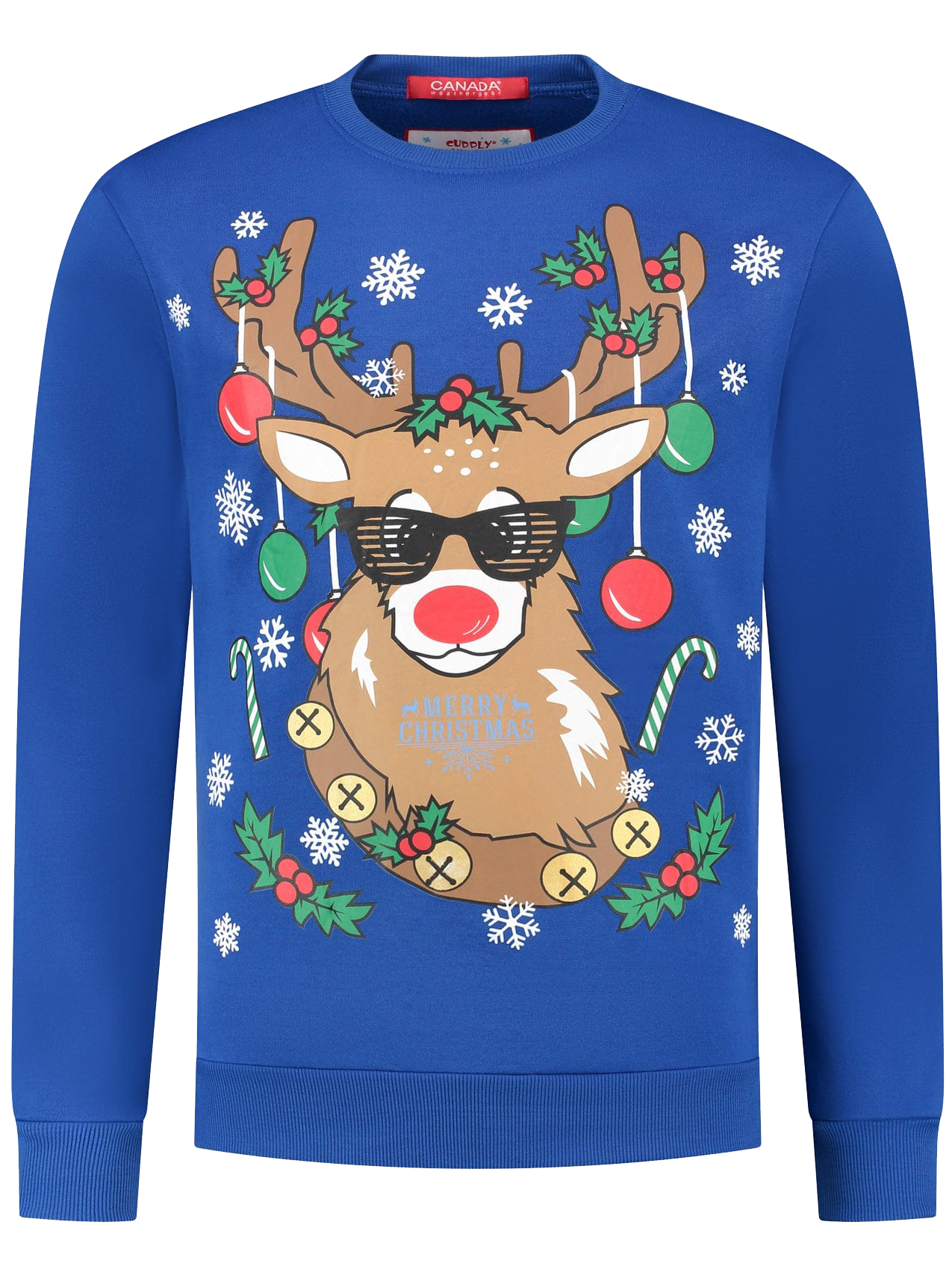 Festive Reindeer Blue Christmas Sweater
