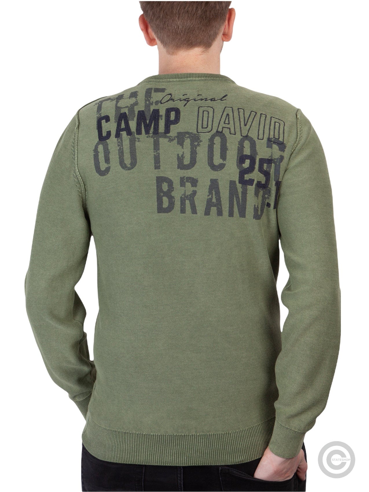 Camp David Rundhalspullover mit Print auf dem Rücken, grün - Stateshop  Fashion